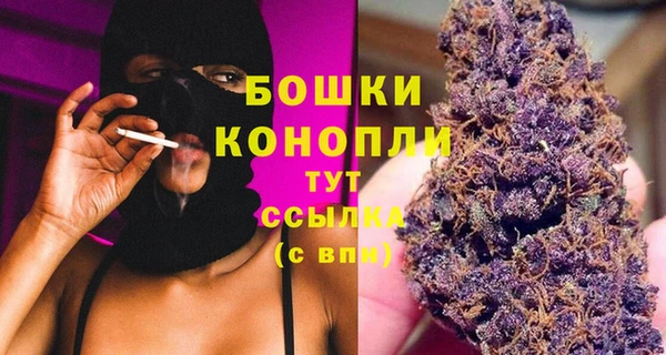 стаф Рославль