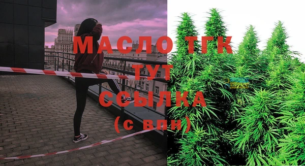 стаф Рославль