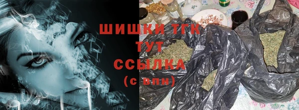 стаф Рославль