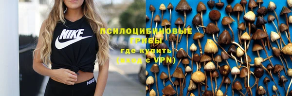 стаф Рославль